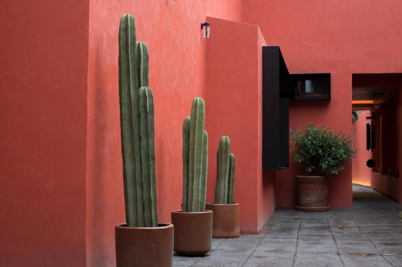 Tonalli Casa Boutique Mexico City Exterior photo